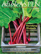 easpen_cvr_spring2012