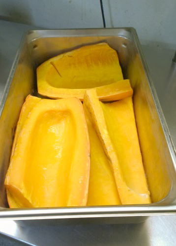 freezing-squash-image-1