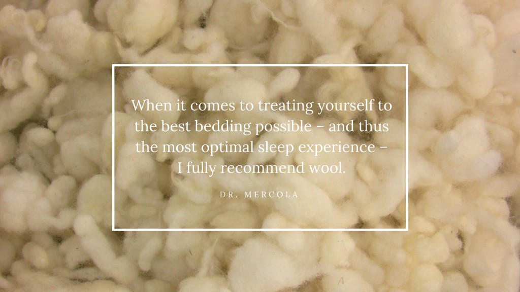 Dr Mercola Wool Pillow