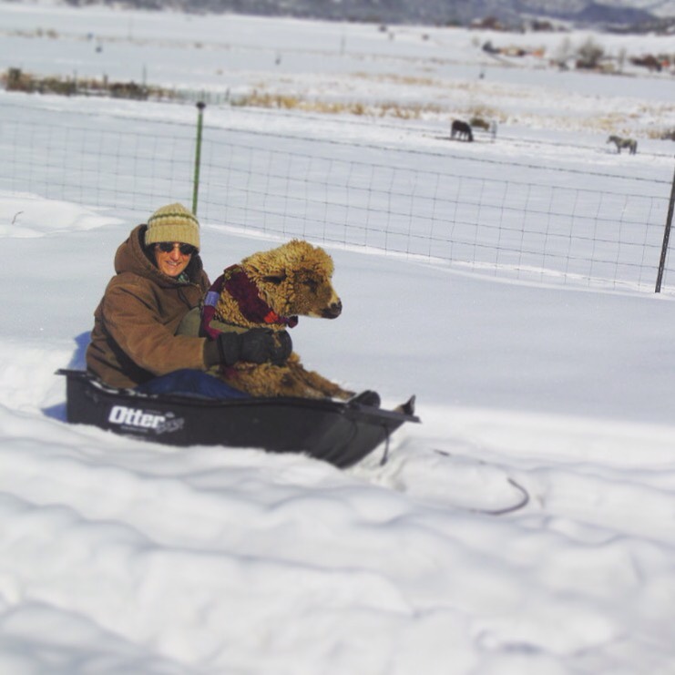 hazelnut-sledding