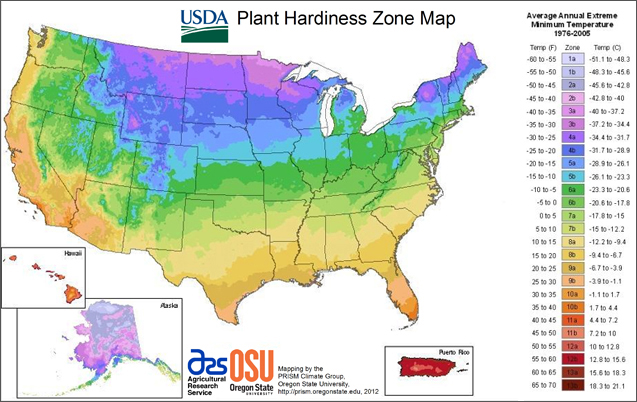 Know Your Planting Zone