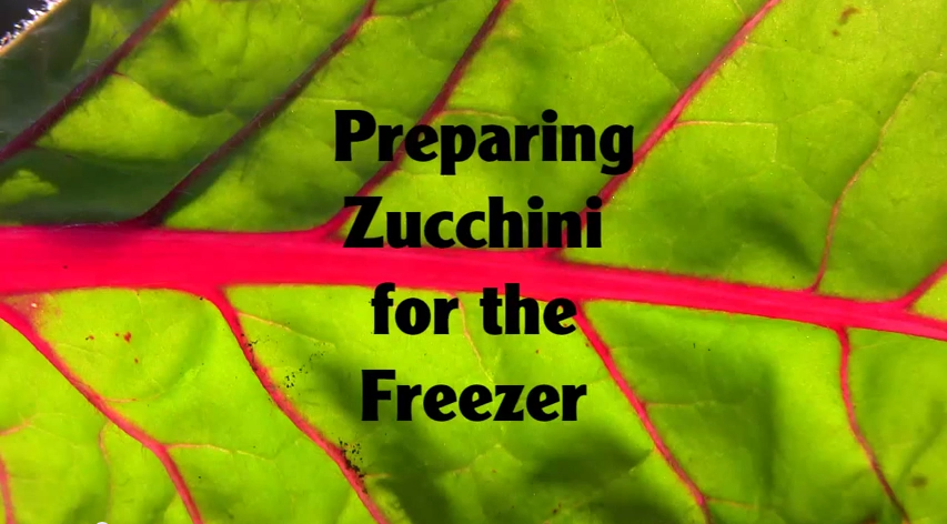 Freezing Zucchini