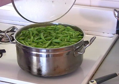 Preparing Peas for the Freezer