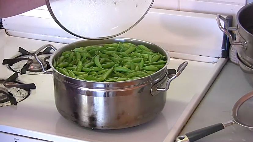 Preparing Peas for the Freezer