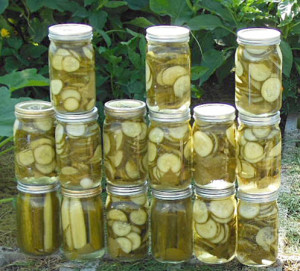 dill-pickles-6