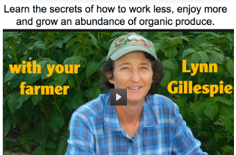abundance-gardening-course-video