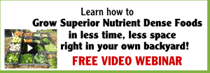freevideographic