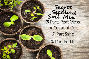 Secret Seedling Soil Mix