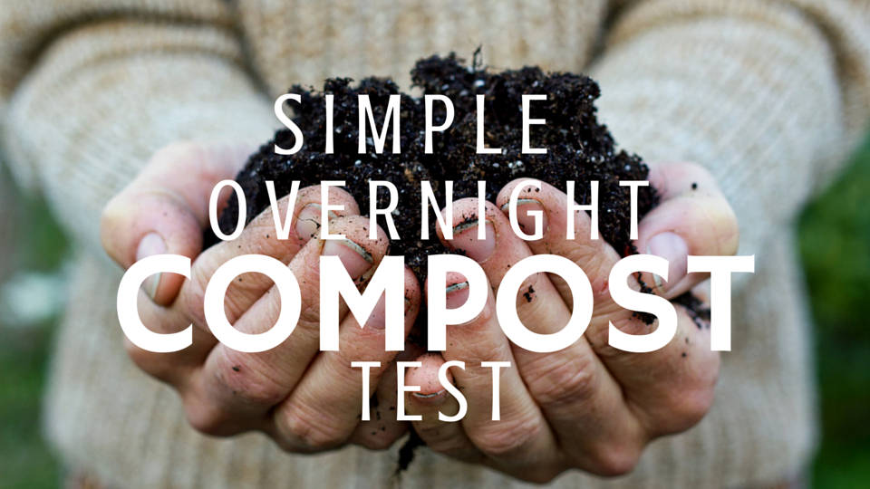 Simple Overnight Compost Test