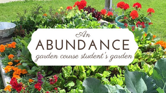 An Abundance Garden Student Garden