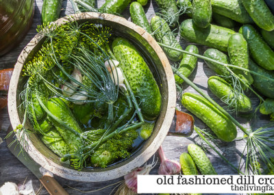 Make an Old Fashioned Dill Crock
