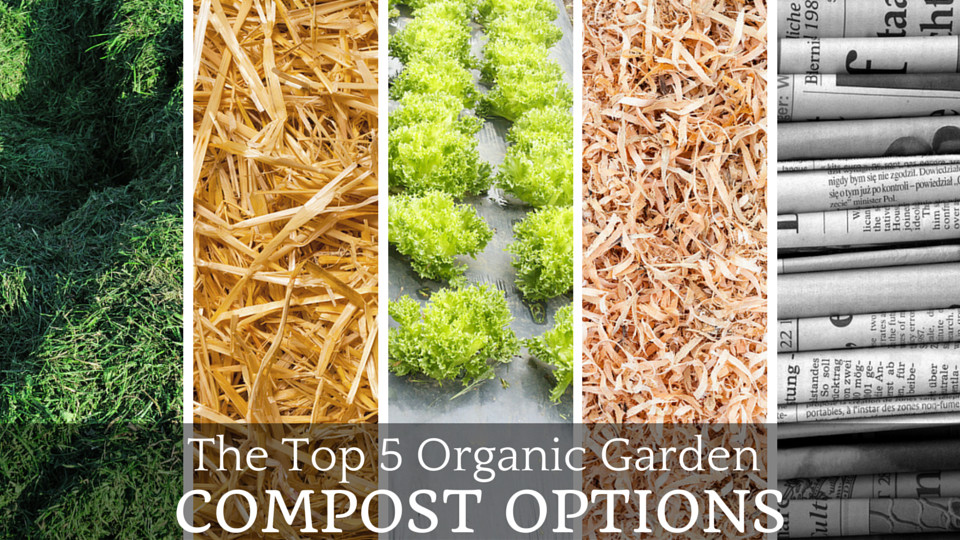 Organic Garden Compost