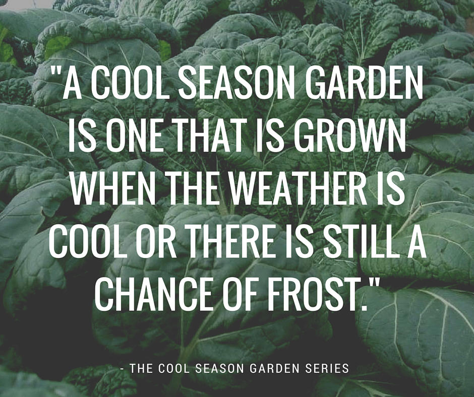 plant a cool season garden