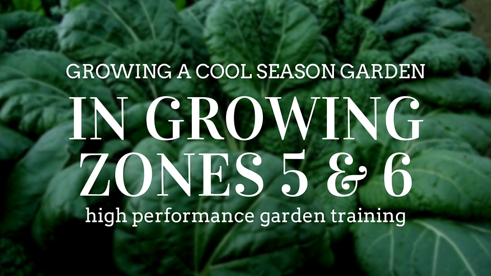 Growing a Cool Season Garden in Zones 5-6