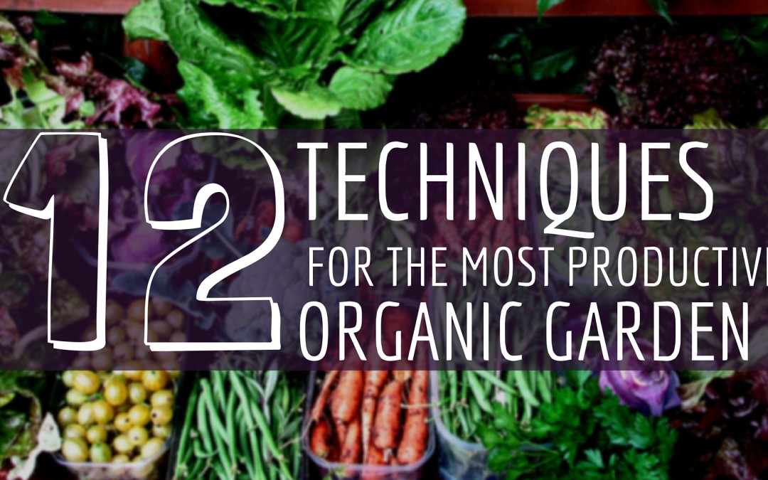 12 Techniques Organic Garden