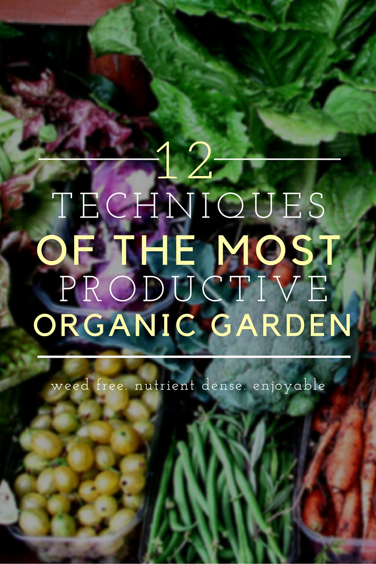 12 techniques of an organic garden