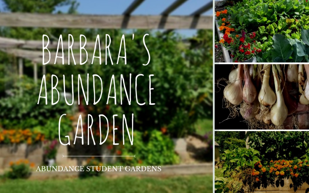 Barbara’s Cinder Block Garden-  Abundance Student Garden