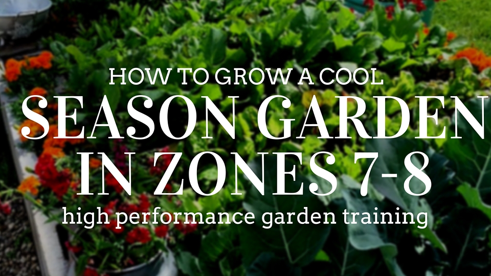 Garden in Zones 7-8