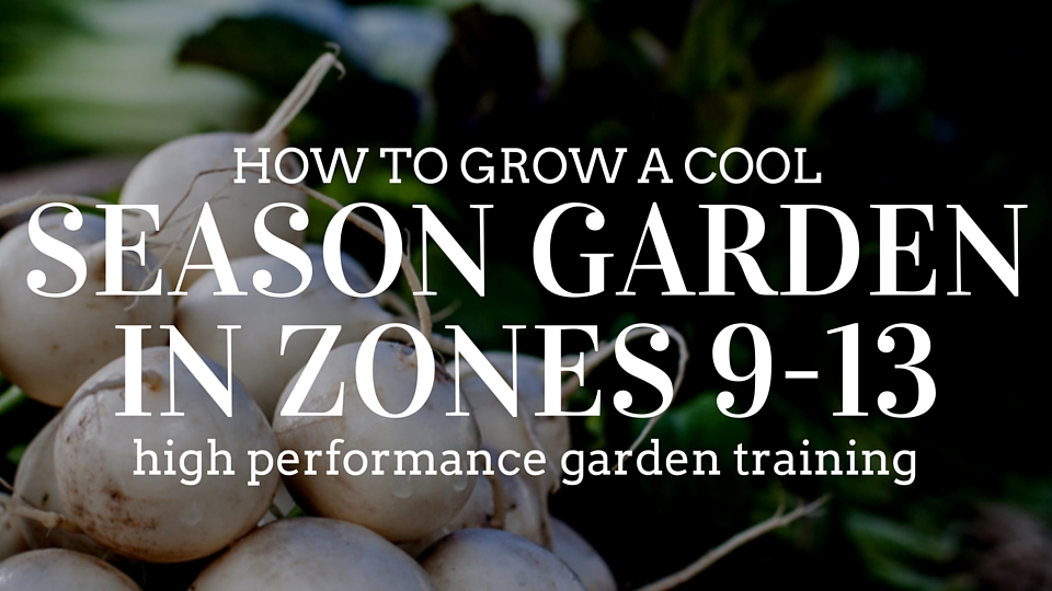 9 best greenhouse ideas to extend your grow season