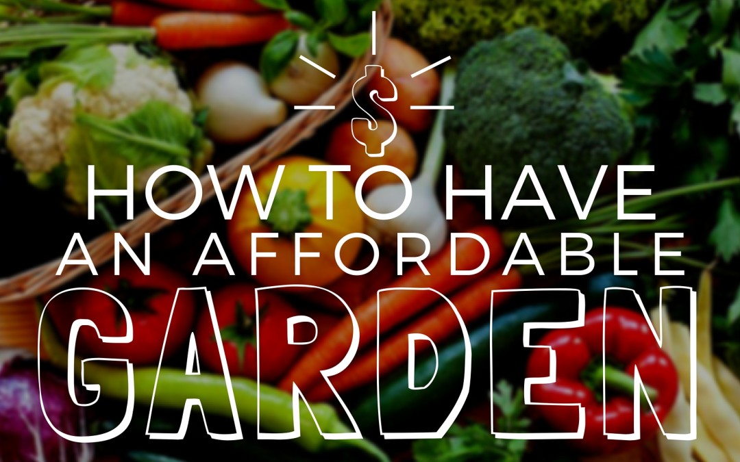 How to Have an Affordable Garden