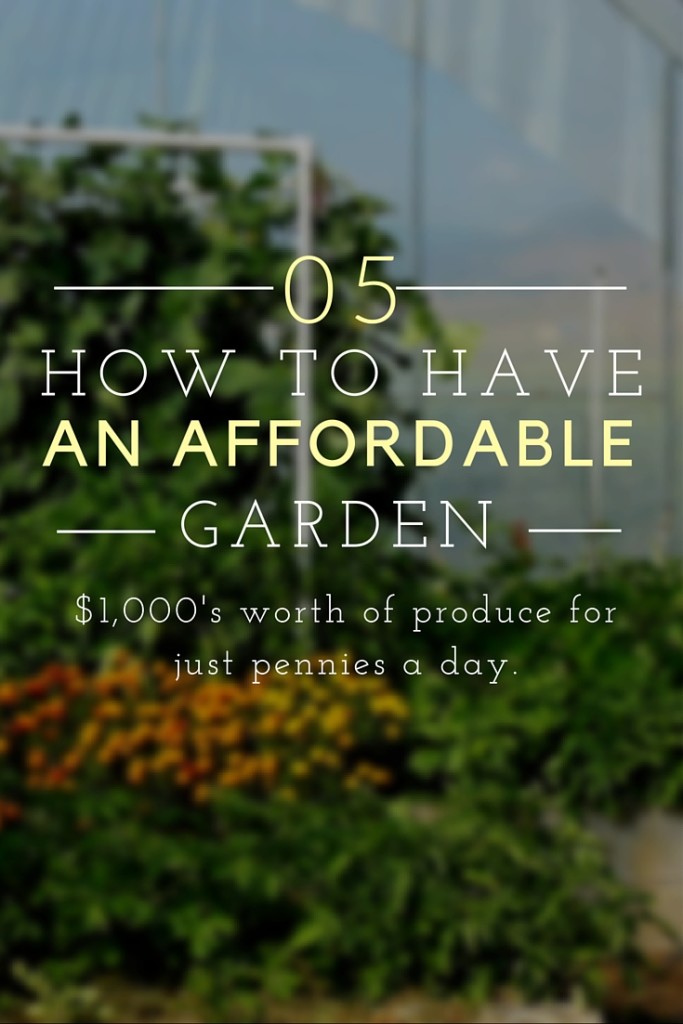 Affordable Garden