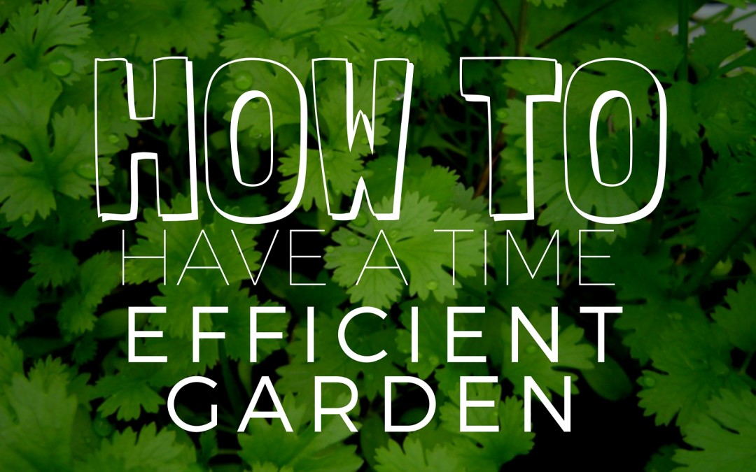 How to Have a High Performance Time Efficient Garden