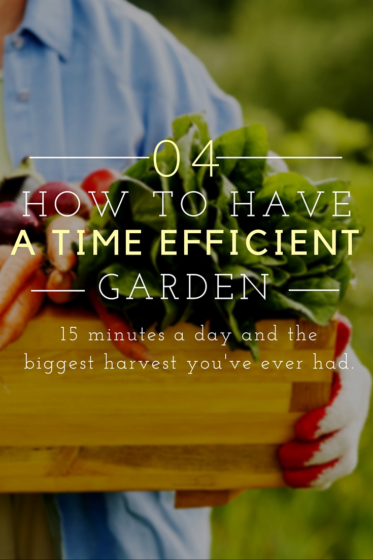 Time Efficient Garden Pinterest