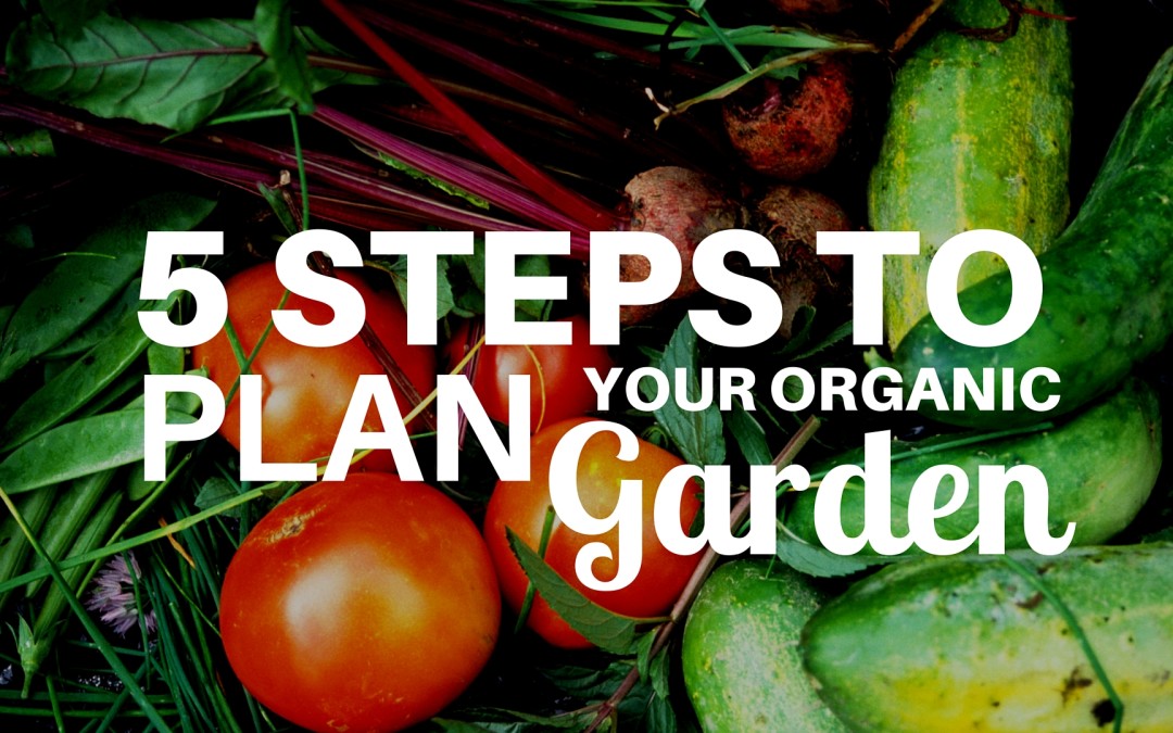 5 Steps to Plan Your Organic Garden