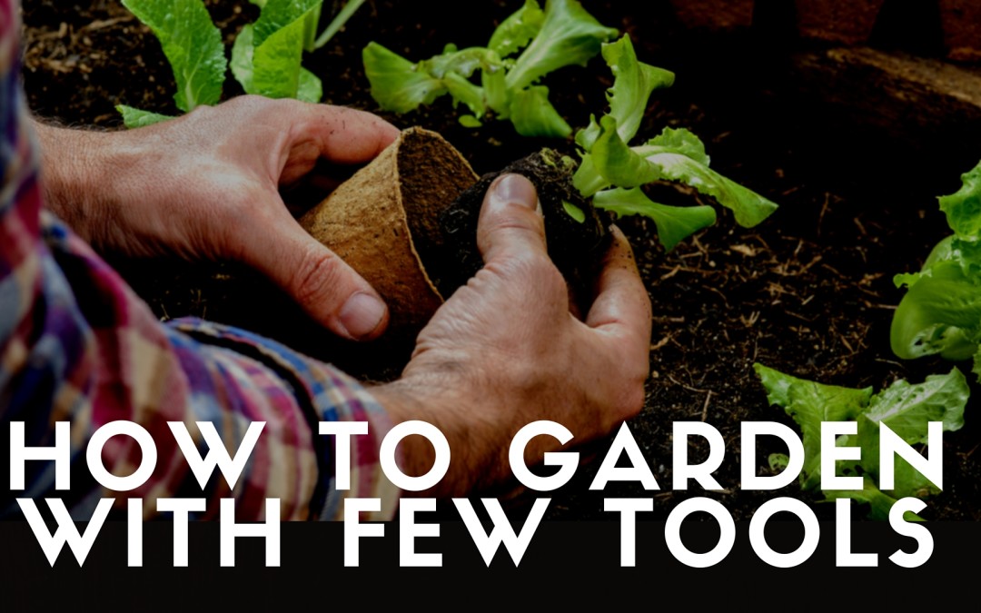 No More Rototilling! How to Garden with Few Tools