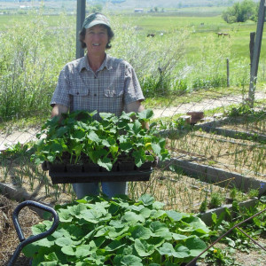 lynn-june-seedlings