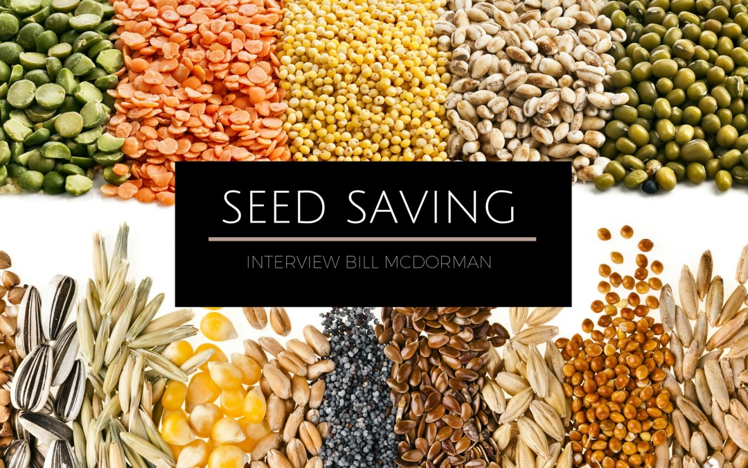 The Secrets to Seed Saving – Bill Mcdorman Interview