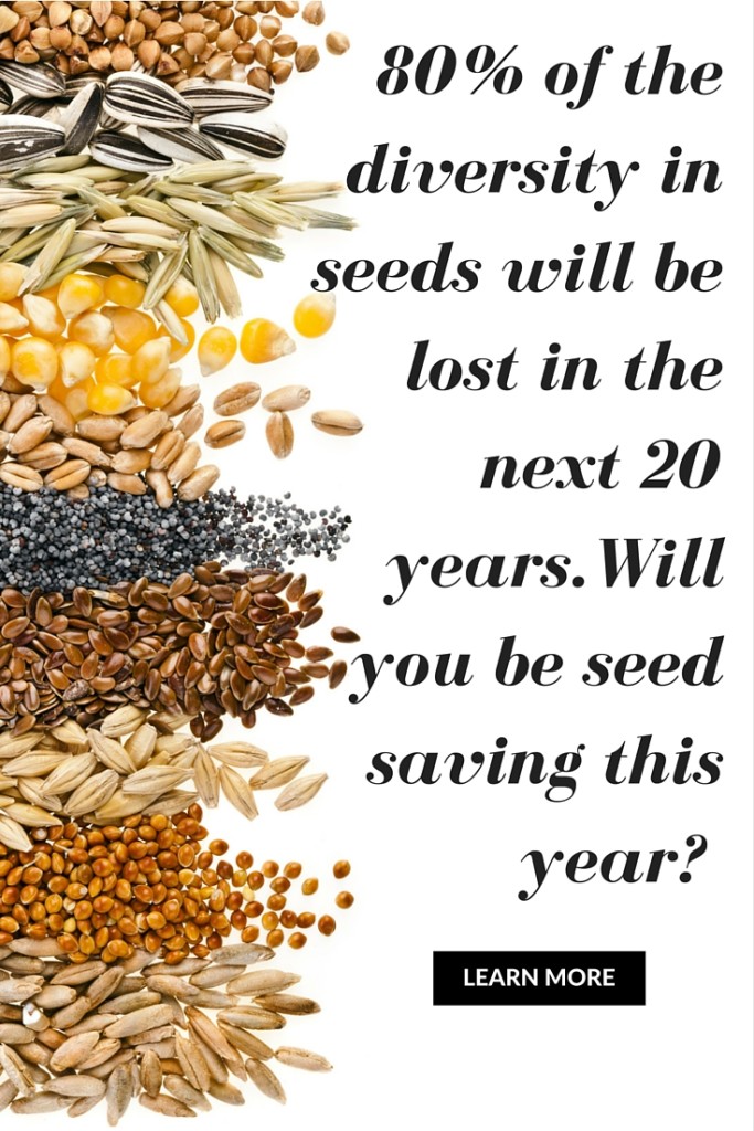 Pin this Seed Saving Article for later!