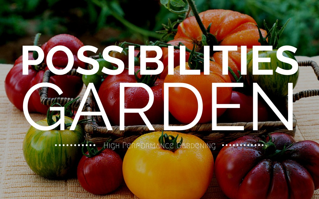 The Possibilities Garden