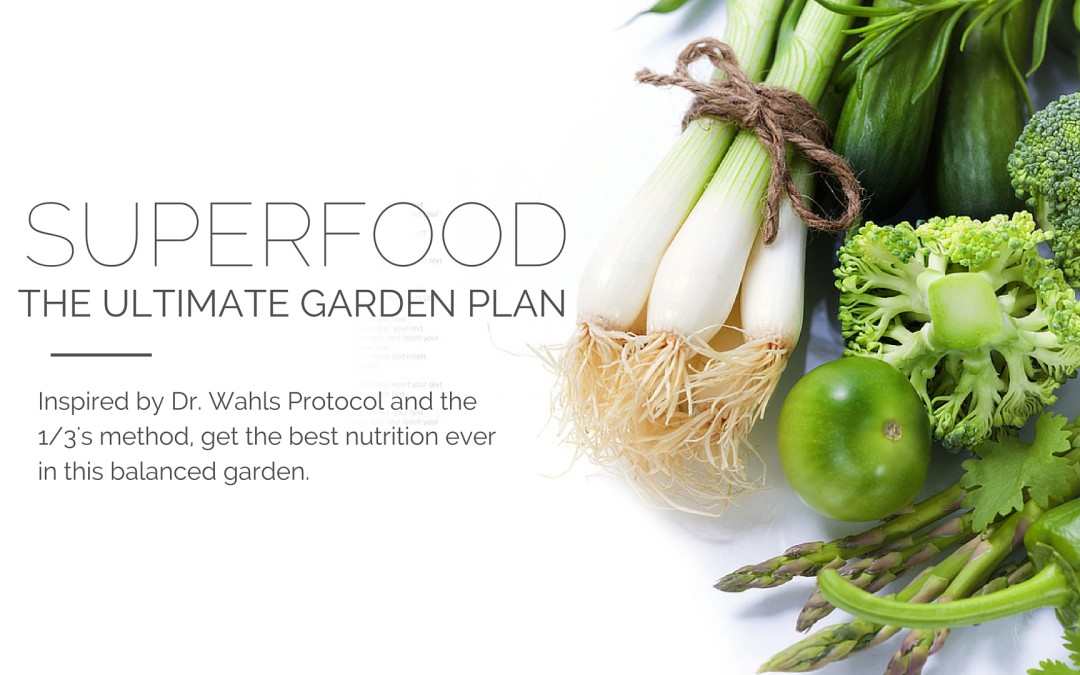 Superfood Garden Plan Inspired by Wahls Protocol