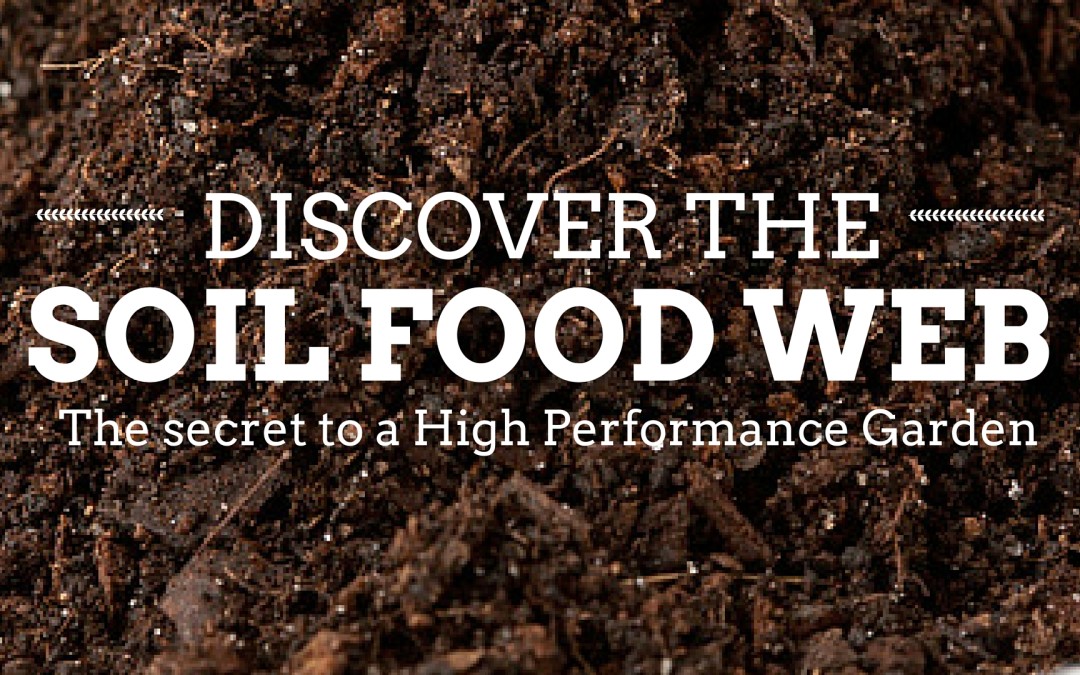 The Soil Food Web – the Secret to a High Performance Garden