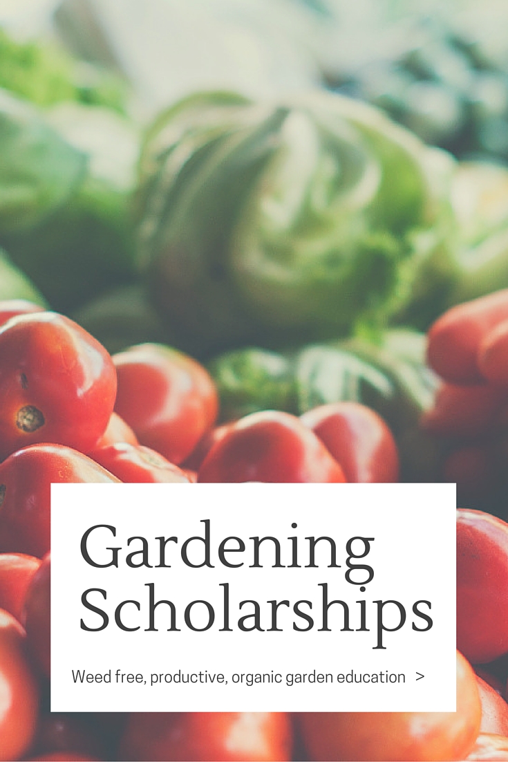 Abundance Garden Course Scholarships Pinterest