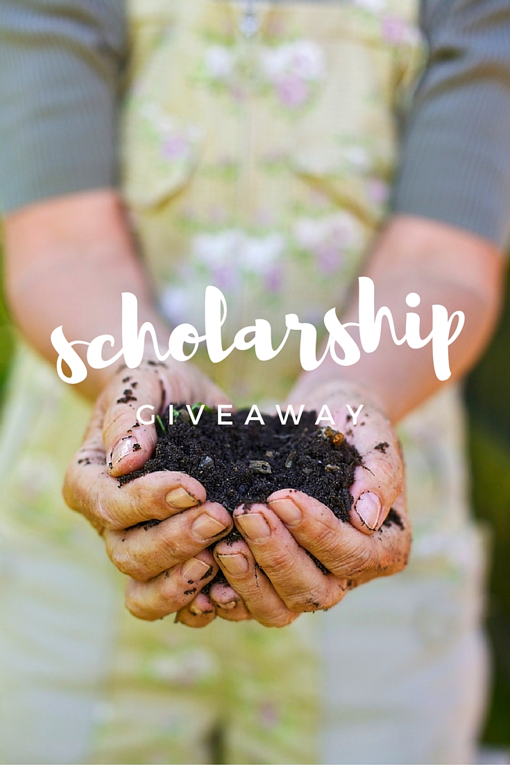 Abundance Garden Course Scholarships Pinterest