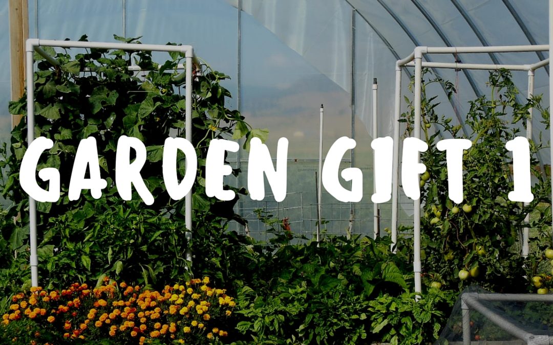 Garden Gift 01