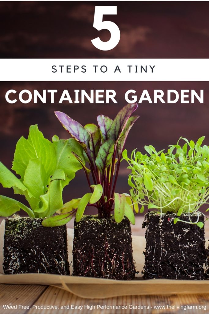 Container Garden Article Pinterest