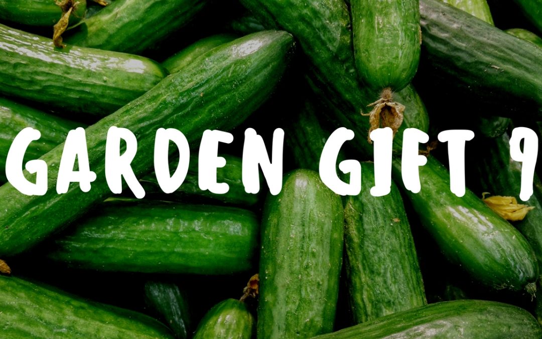 A True Garden – Garden Gift 9