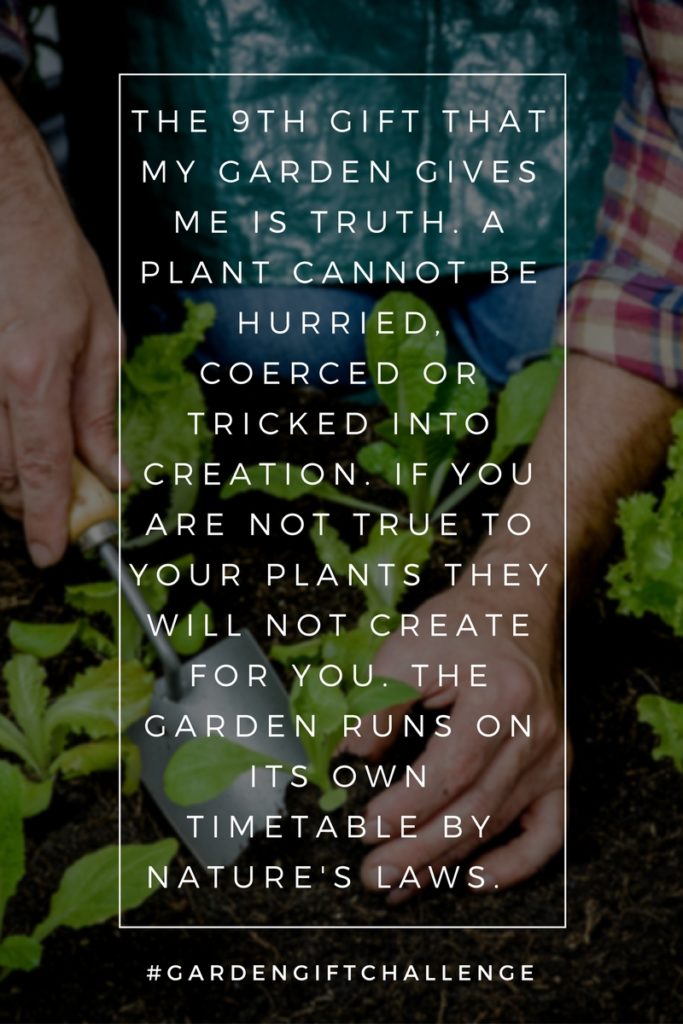 True Garden Pinterest