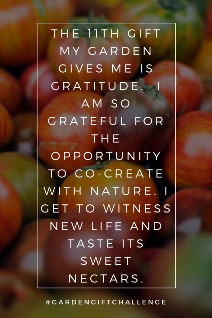 Gratitude Pinterest Image
