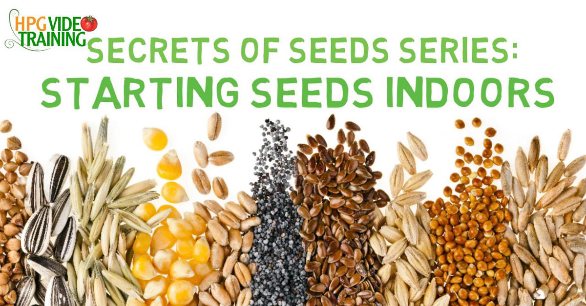 Starting Seeds Indoors - Secret of Seeds Series - THE LIVING FARM