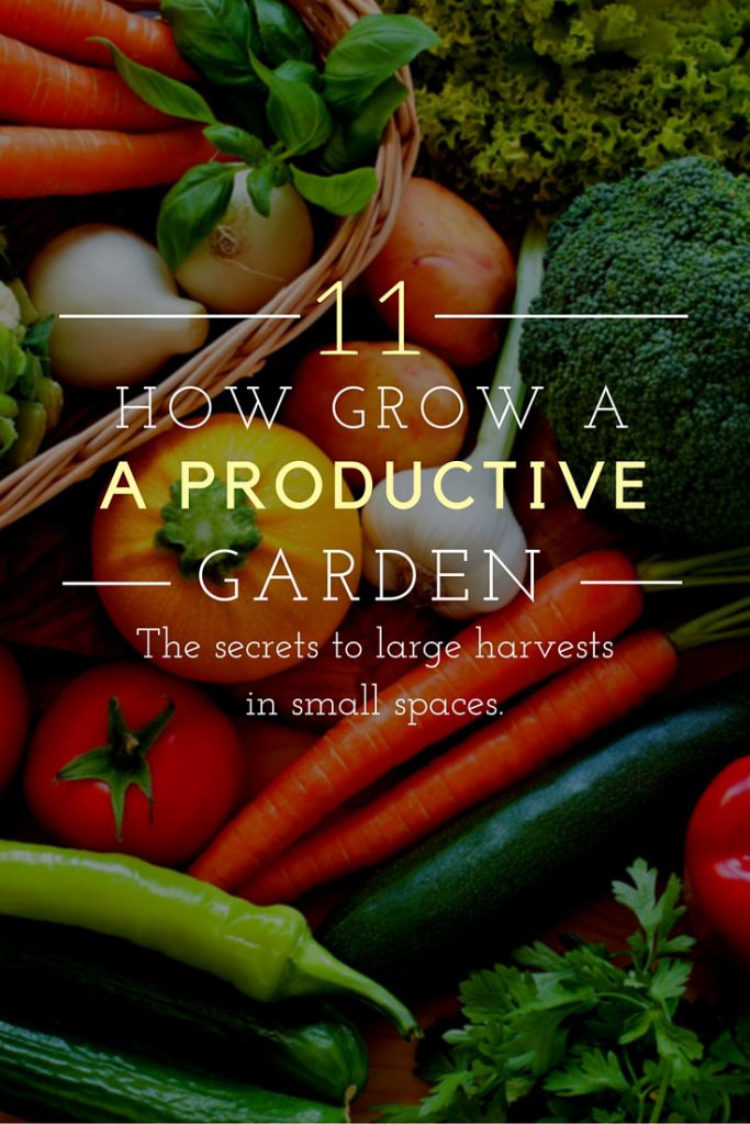 Grow a Productive Garden image