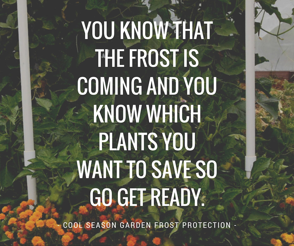 Frost is Coming image