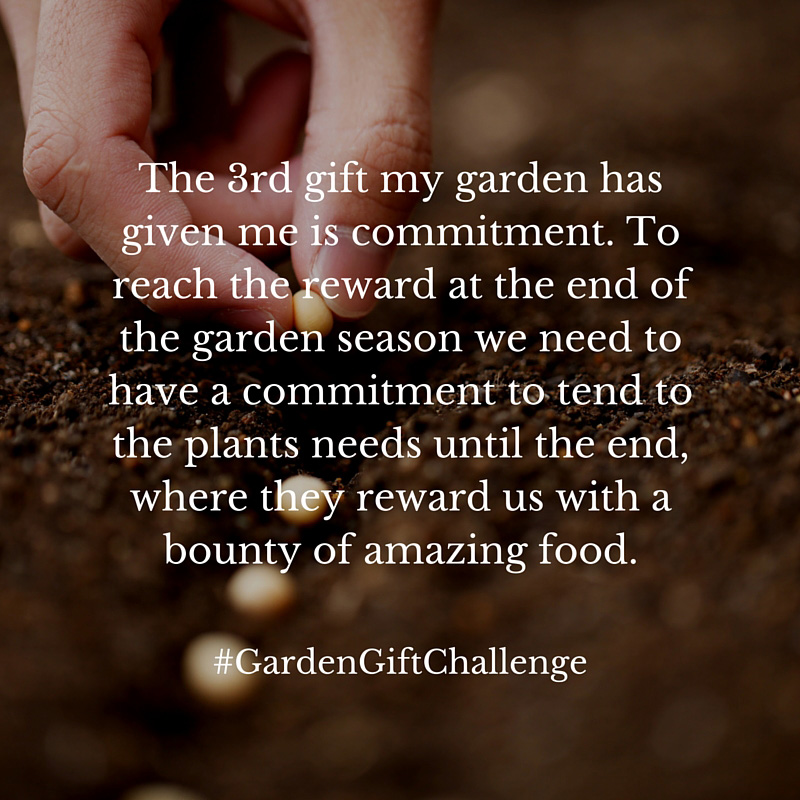 Garden Challenge 03 image