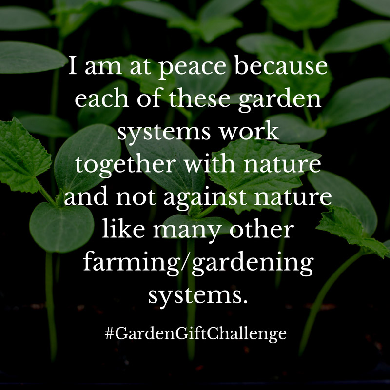 Garden Challenge image