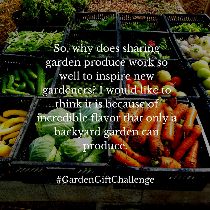 Garden Challenge 17 image