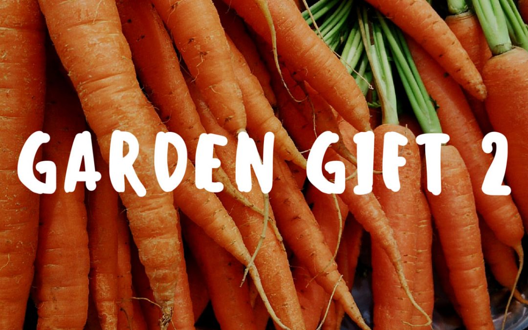 Garden Gift image