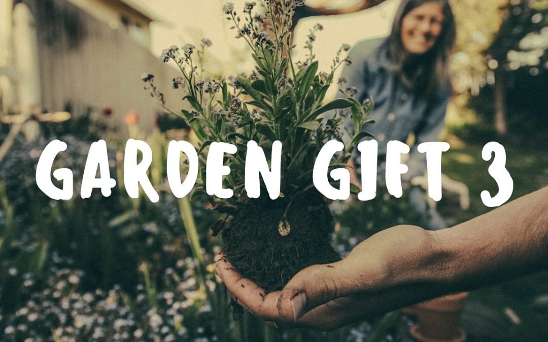 Commitment Garden Gift Challenge 03